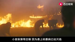 4人去了外星一趟，回来时地球已经灭亡，人类住到了太空！