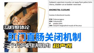 Dr. Petros| Integral Theory | Anorectal Closure 肛门直肠关闭机制