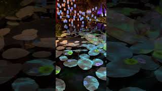 Nasatta Light Festival 2024 #youtube #shortsfeed #shortsvideo #trendingshorts #lightfestival