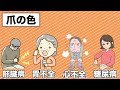 【放置厳禁】知らないと後悔する「爪」からのsosサイン。その知られざる意味とは？【医師監修】