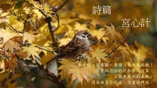 靈修:詩篇-宮心計 20240414