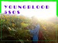 YoungBlood Cover - 5 Seconds of Summer - Remix Cover by Divyansh Johari ( 5SOS Acoustic Cover 2018 )