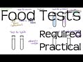 Food Tests | Required Practical Biology GCSE or iGCSE