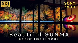 Autumn Leaves (Houtokuji Temple ) 宝徳寺 床もみじ 紅葉 もみじ特別公開 ライトアップ SONY ZV-E1 (Log撮影)