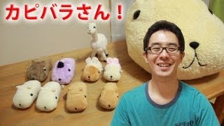 カピバラさん、リーゼント君、カピ爺、リャマさんがやってきた！