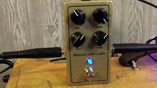 DCW Pedals Mountain Lion Transparent Overdrive Pedal Demo