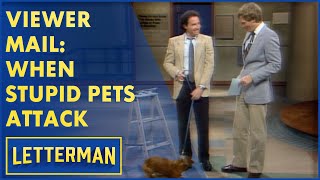 Viewer Mail: That Time Dave Was Attacked During Stupid Pet Tricks | Letterman