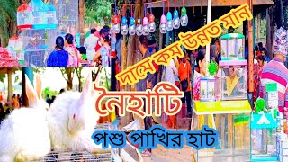 পোষ্য প্রানী জগতের সমস্ত কিছুর বিপুল সম্ভার এই হাটে।