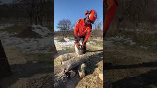 Stihl Msa 220 C and Stihl Msa 300. #stihl #stihlchainsaw #stihlpower