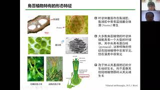 CGM第81期:  角苔基因组与早期陆地植物进化