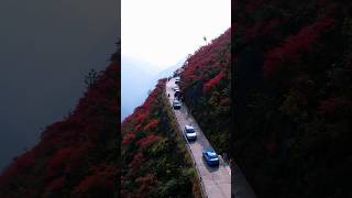 人间忽晚，山河已秋Lanying Grand Canyon in November #chongqing #autumn #aerialphotography