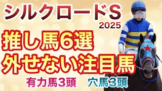 【シルクロードS】ソンシは重賞で通用する？！他にも面白い穴馬がたくさんいます