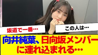 【櫻坂46】向井純葉、日向坂メンバーに連れ込まれてしまう…【#そこ曲がったら櫻坂 #自業自得  #三期生 #ミーグリ #オタの反応集 】