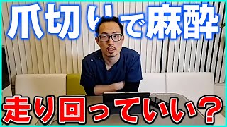 【ハリネズミ】病院での爪切りでガスの麻酔をし、終わった後走り回っているが大丈夫なものか？#158