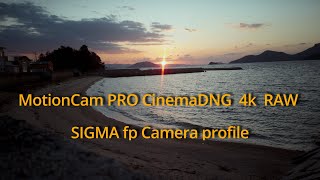 MotionCam PRO CinemaDNG  4k  RAW / Sigma fp Camera profile by DEHANCER PRO