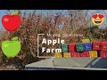 Apple farm | Travel 2021 | Miryang | South Korea | WD Walker