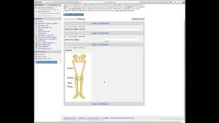 REDCap 101 Part 5. Building a second instrument and additional field types