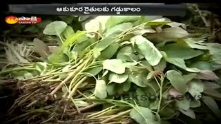 The Greens Farm Farmers Suffering Over Karthika Masam