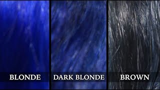 MANIC PANIC Rockabilly Blue on Blonde, Dark Blonde, Brown Hair Before & After SWATCH