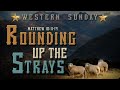 Rounding up the Strays - Pastor Stacey Shiflett