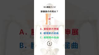 大胸筋の作用は？筋肉の動き！全部で7問！