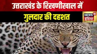 Breaking News : उत्तराखंड के Rikhnikhal में गुलदार की दहशत | Uttarakhand News | Hindi News | News18