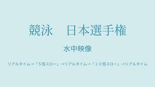 【水中映像分析】 2016年 日本選手権　女子 200Mバタフライ