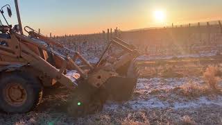 Szőlőtelepítés Tokaj Hegyalján. Régi szőlő kivágása utáni bakhát gyalulás.