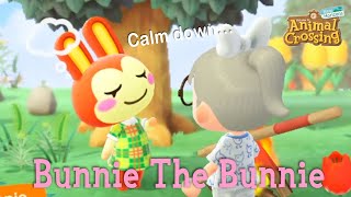 Bunnie The Rabbit Peppy Villager Animal Crossing New Horizons ACNH