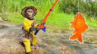 A Busy Day Monkey Bim Bim goes fishing to feed Ody cat