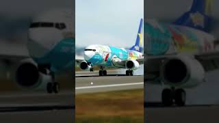 ポケモンジェット　B737-800 那覇空港に着陸【MSFS】