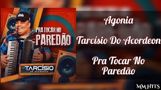 AGONIA - Tarcísio do Acordeon (Áudio Oficial)