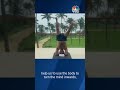 bajaj auto s rajiv bajaj shares guru bks iyengar s mantra international yoga day cnbc tv18