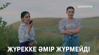 Жүрекке әмір жүрмейді | Көршінің қызы