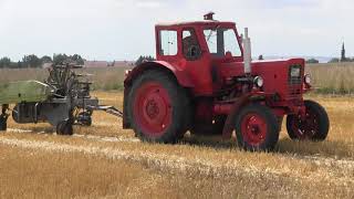 Belarus MTS 50 tractor with swather in Eastern Germany