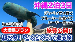 【沖縄旅行】初めてにしては上出来！美ら海水族館+4施設巡れた♪大満足プラン／シニア夫婦旅