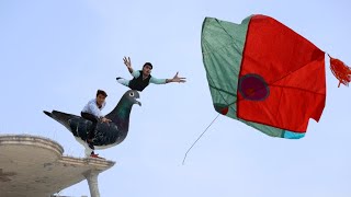 Big Cutting Abubaker Gudda Catch Vs Kite Flying | ColourFul Chick