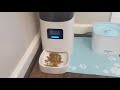 petlibro automatic cat feeder