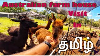 A day with Australian farmers/   Australian விவசாயி வுடன் ஒருநாள்/ Australian farm animals