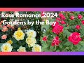 2024 Rose Romance in Gardens by the Bay Part 2