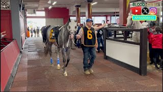 3-Year-Old Sprinters Battle for Victory in the 2024 Chick Lang Stakes