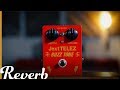 Jext Telez Buzz Tone: The Piper At The Gates of Dawn Pedal | Reverb Demo