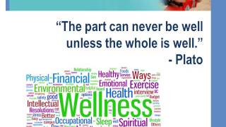 Staff Wellness Summary