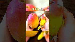 Be Brave 🔥💸 | inspirational, motivational quotes, Powerful Quotes #shorts #viral #quotes