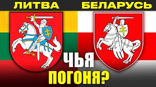 Герб Литвы или Беларусь ИМЕЕТ ПРАВО: чья Погоня?! Жаркие споры об истории ВКЛ | Камунтавичюс