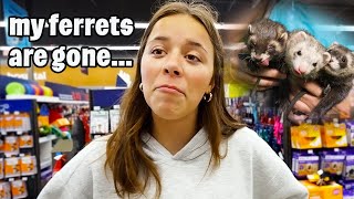 Aydah tells the TRUTH about her ferrets and Rory goes back 2 school shopping!!