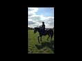 gcse horse riding