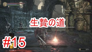 【ダークソウル3】生贄の道を探索１！part15