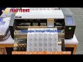 A491 Auto Feeding Digital Flatbed Sticker Single Paper Plotter Half Label Die Cutting Machine