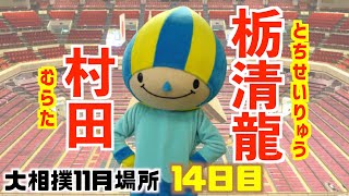 幕下上位で勝ち越しをかけた一番 / 村田-栃清龍/大相撲2020年11月場所14日目